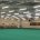 LED Batten Lights